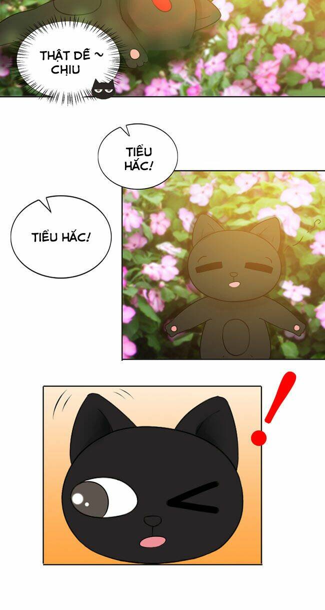 tổng tài ma cà rồng tha cho tôi chapter 23 6