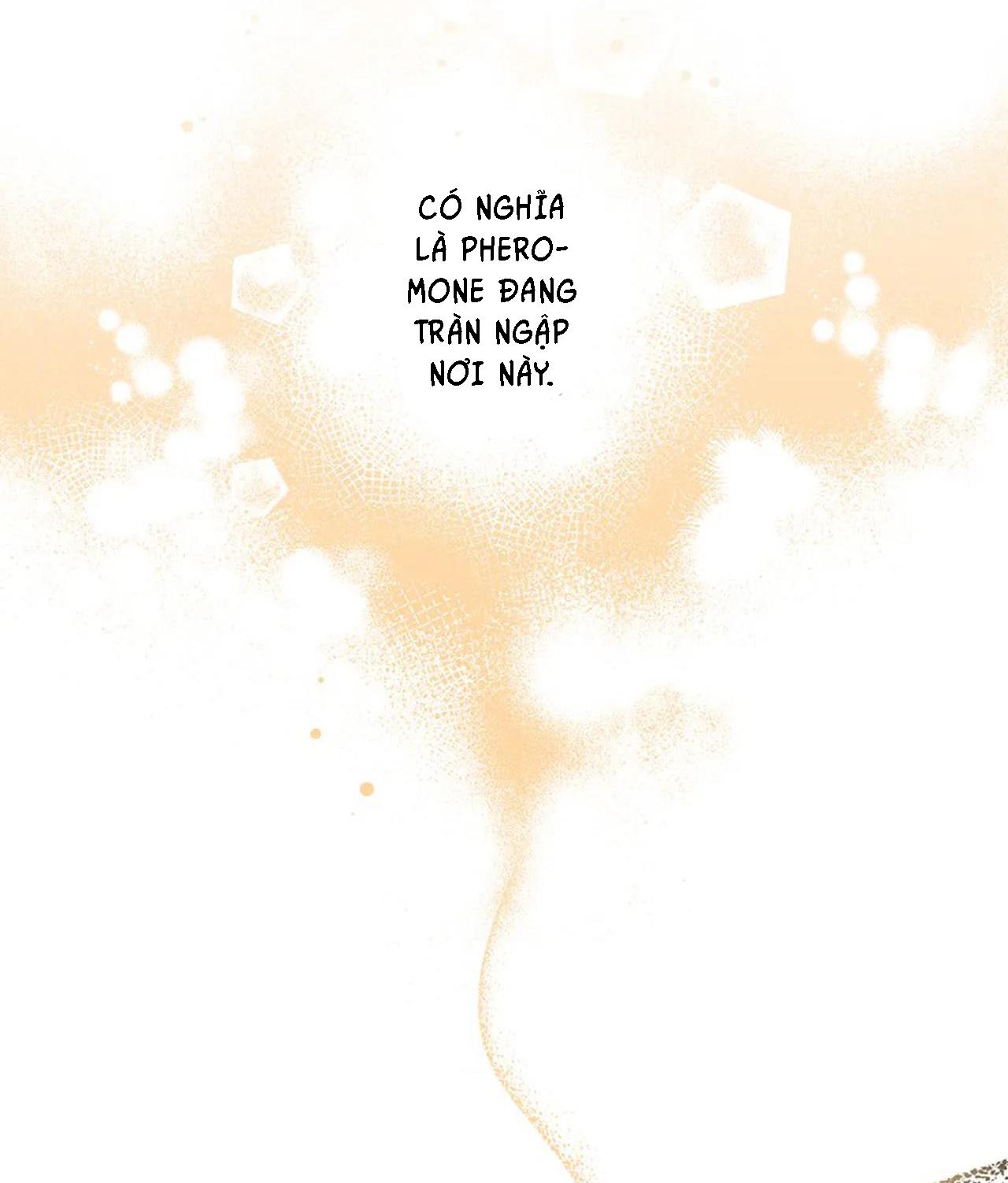 đêm dịu dàng chapter 15 18