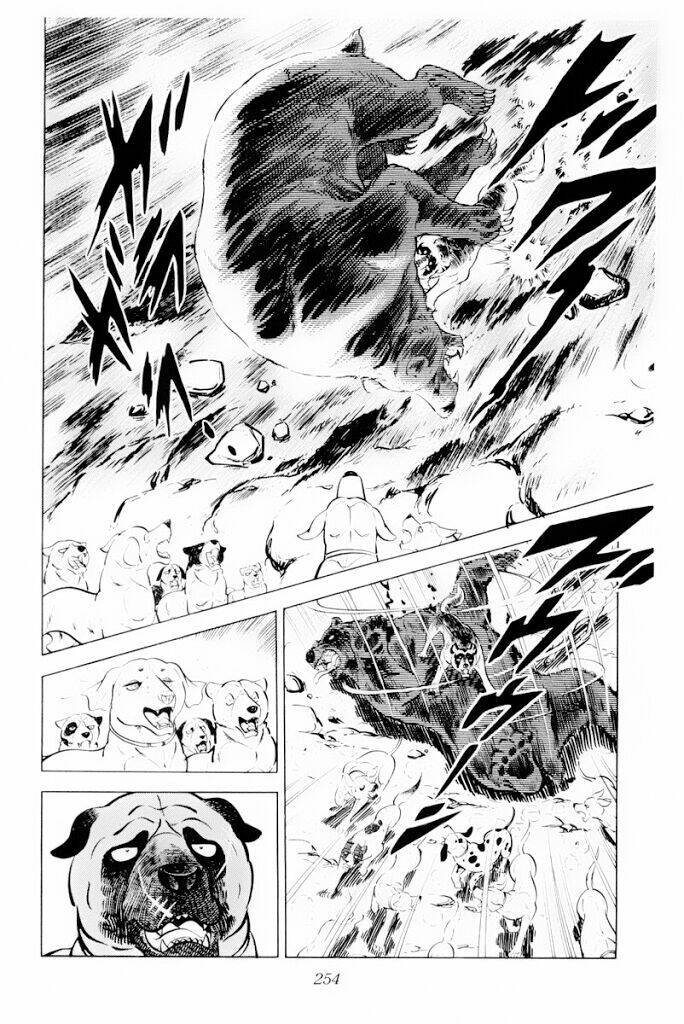 chú chó có nghĩa - ginga nagareboshi gin chapter 30 12