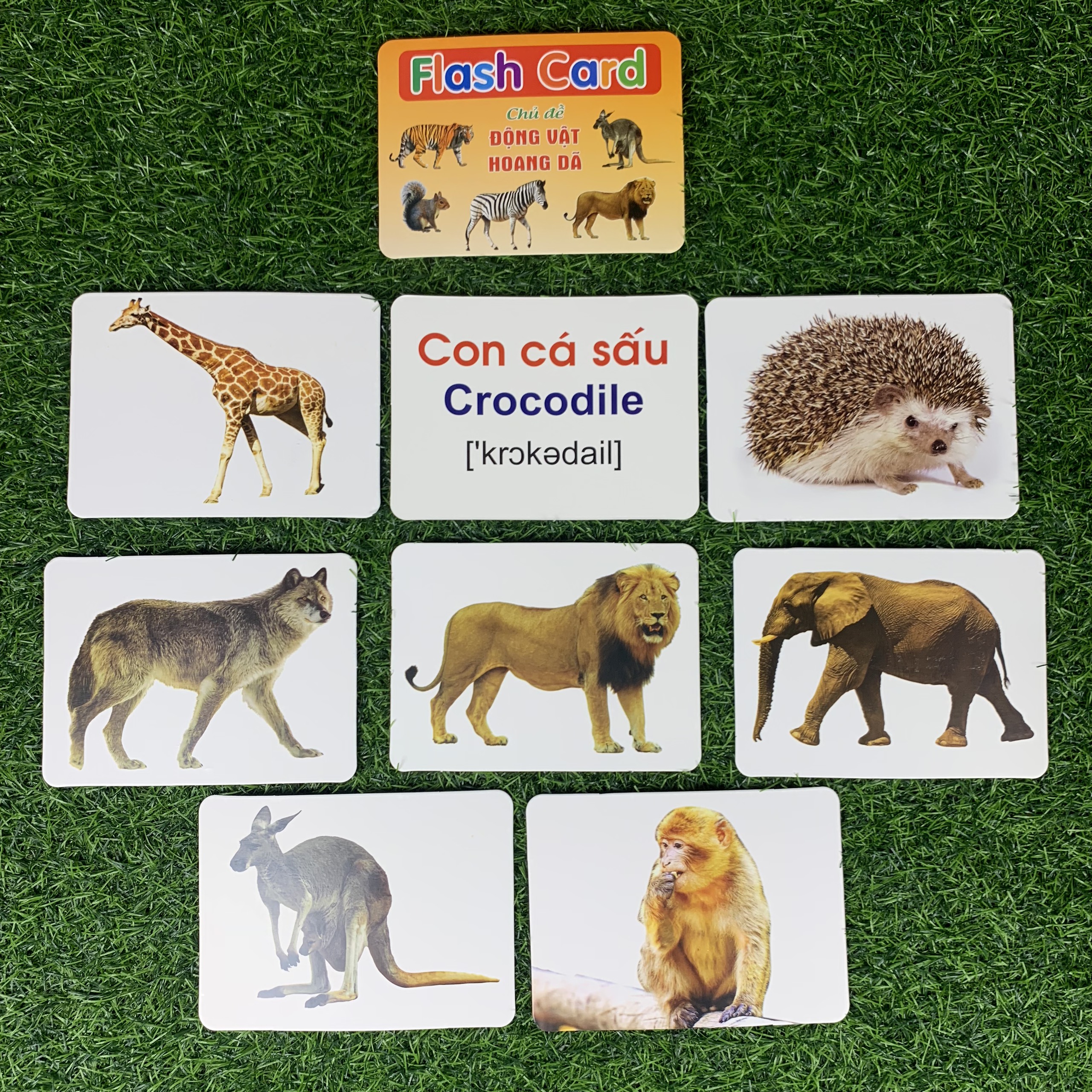 Bộ Thẻ Học Thông Minh 18 Chủ Đề Dạy Trẻ Về Thế Giới Xung Quanh Flashcard Song Ngữ Anh Việt Theo Phương Pháp Giáo Dục Sớm Glenn Doman Cho Bé Vừa Học Vừa Chơi Hiệu Quả