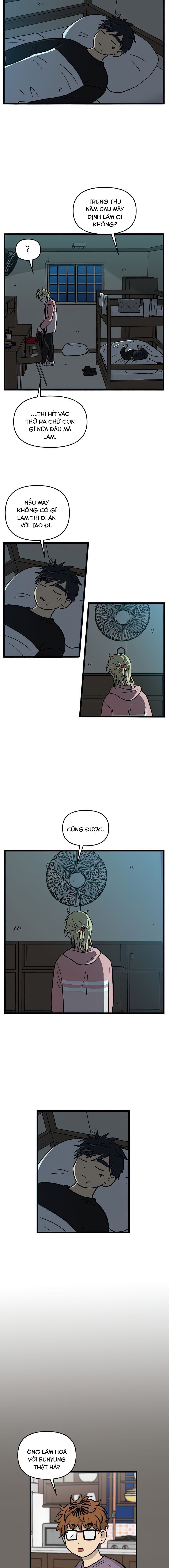 no home - không nhà chapter 166 8