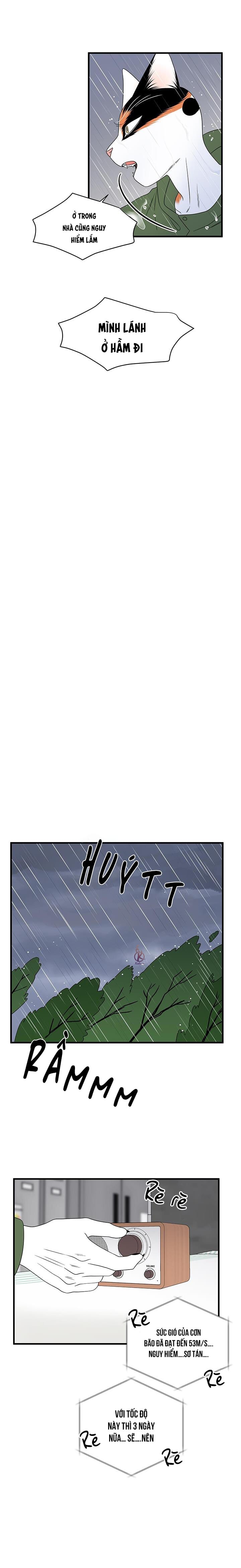 dự án xanh chapter 46 16