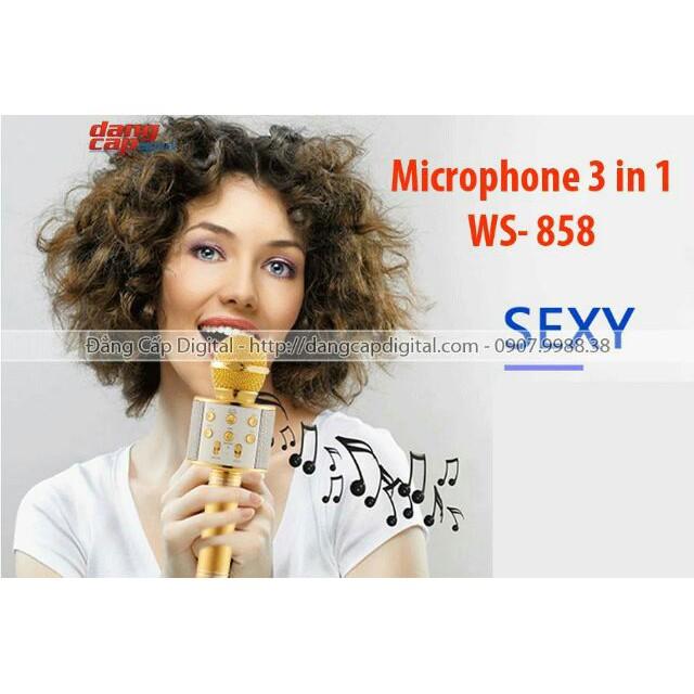 Mic karaoke WS858  Hyuyu