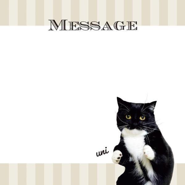 Sách ngoại văn: SNSで人気の有名ねこさんだらけ、応援ワード編! ねこいっぱいシールブック - Neko Ippai Seal Book