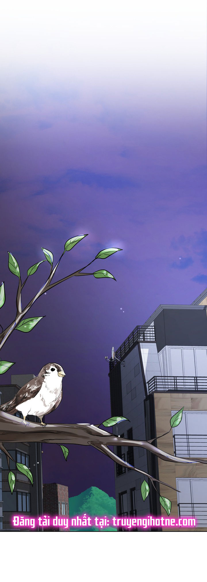 [18+] điều em cố giấu chapter 8.1 15