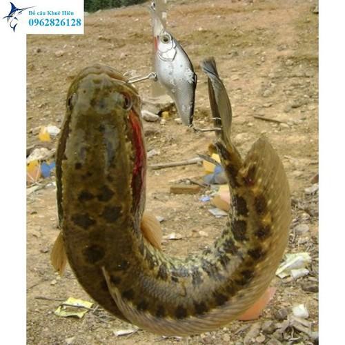 Lưỡi lục siêu nhậy bén