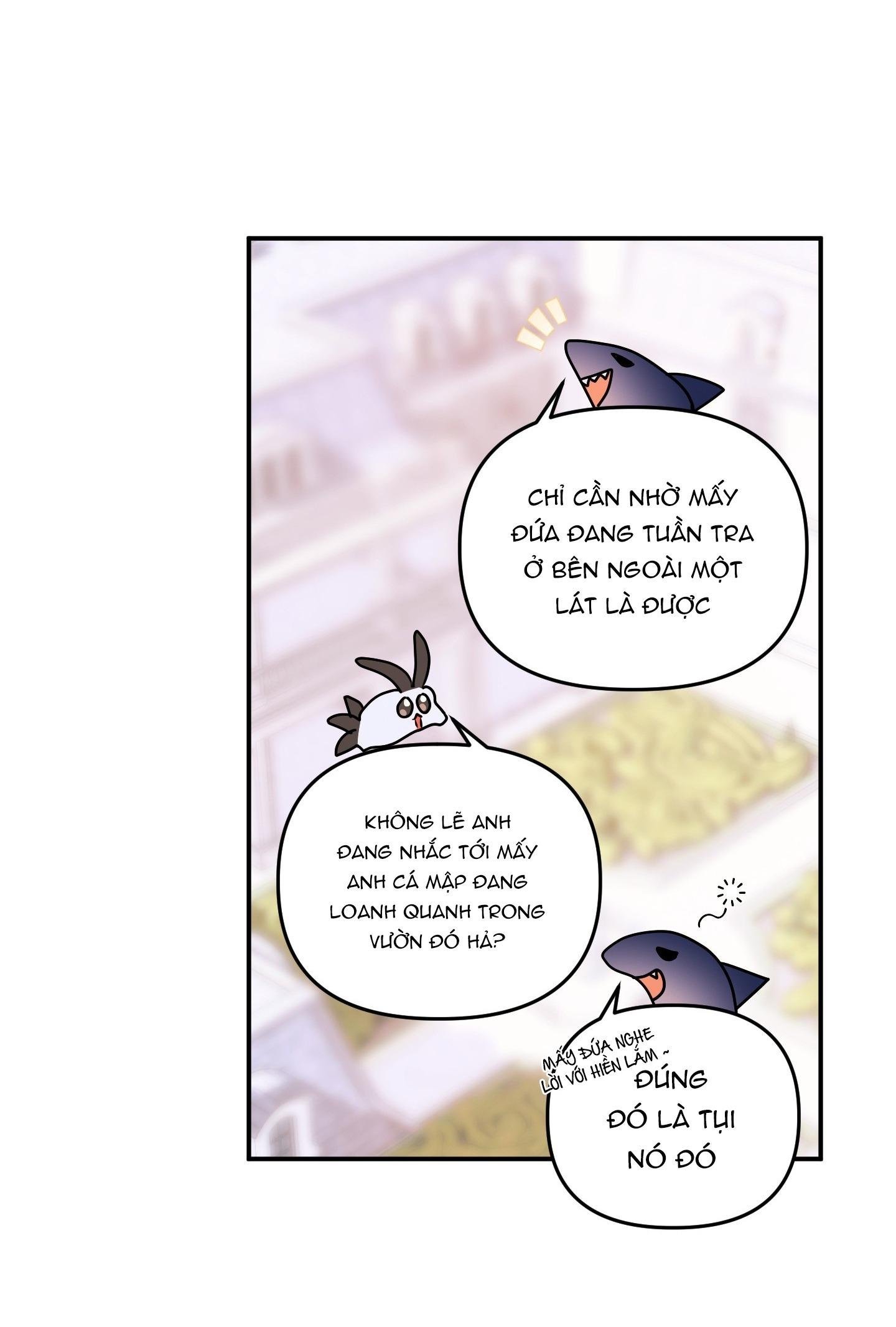 cá mập và cô dâu thỏ chapter 53 17