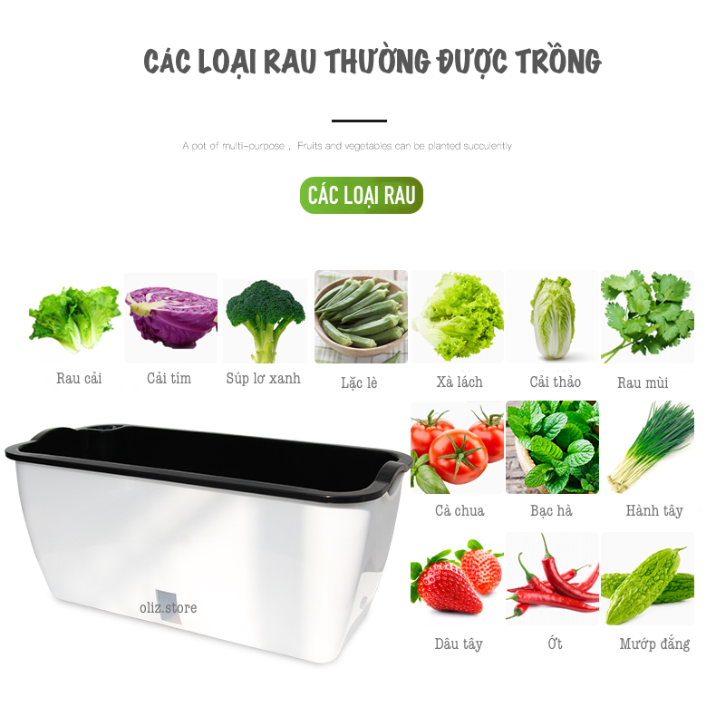 Chậu trồng rau SC0. Chậu trồng rau thông minh tự dưỡng, chậu nhựa trồng cây, chậu trồng hoa