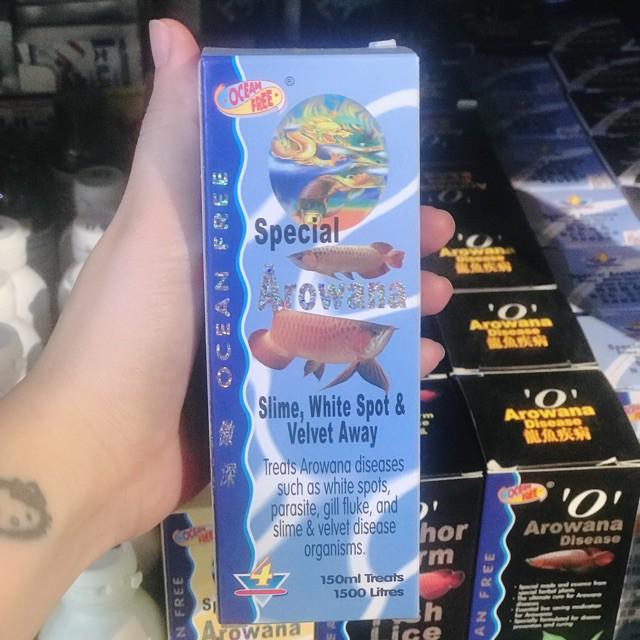 CÁ RỒNG CHAI SỐ 4 OCEAN FREE