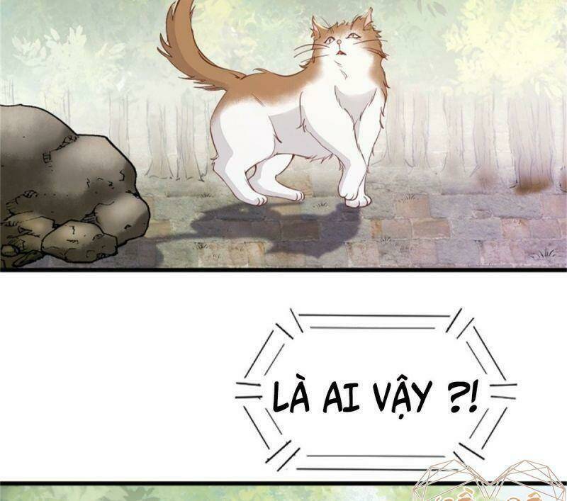 sát thủ vương phi không dễ chọc chapter 30 58