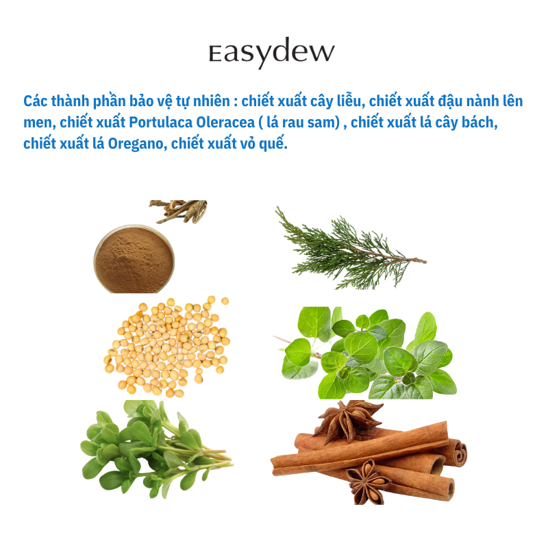 Nước cân bằng làm sạch tẩy tế bào chết nhẹ nhàng giúp thông thoáng lỗ chân lông Easydew Acne Clear Toner 200ml