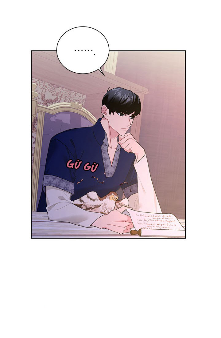 công chúa của loài chim chapter 36.1 41