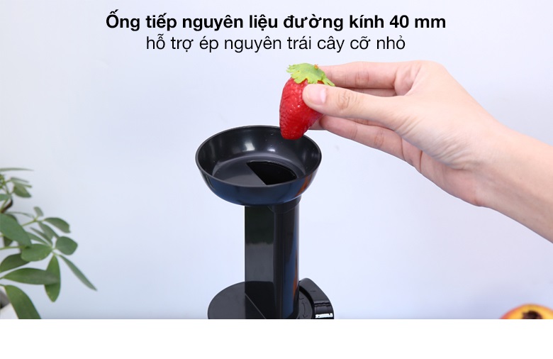 Máy Ép Chậm Hoa Quả Trái Cây JL-01 - Màu Ngẫu Nhiên - Hàng Chính Hãng