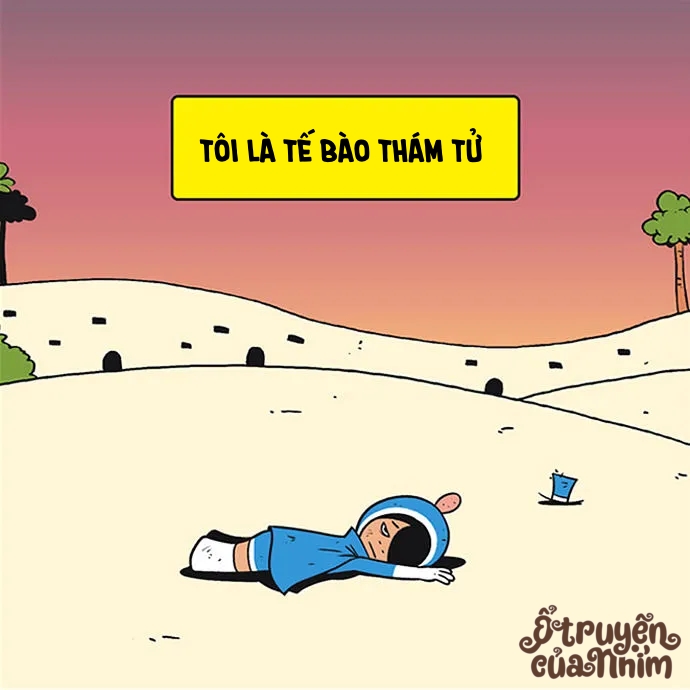 yumis cells chapter 2 27