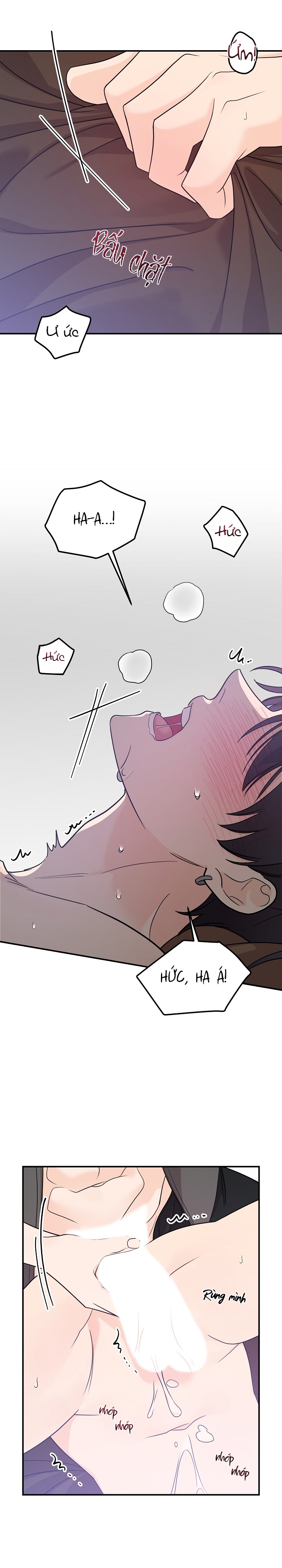 hoa ly hổ chapter 58 16