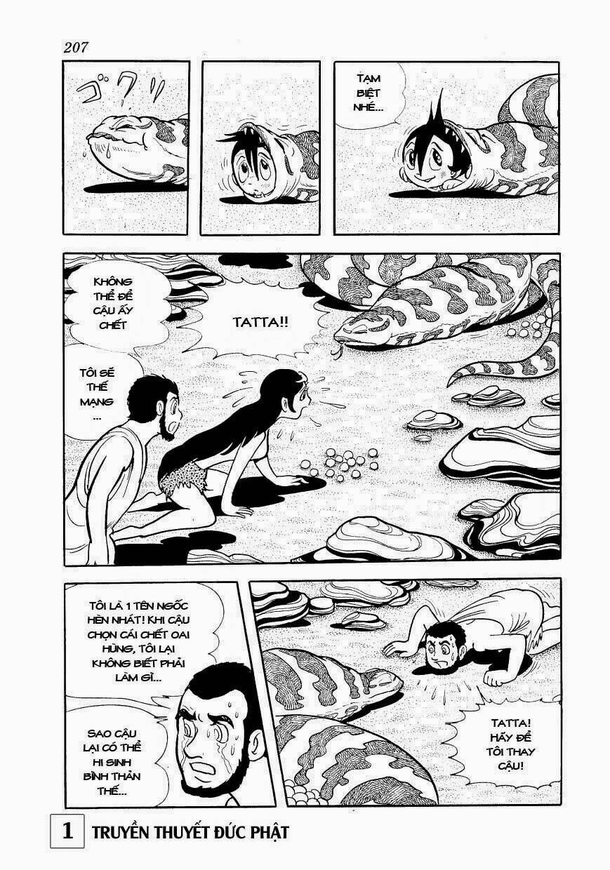 buddha - truyền thuyết đức phật chapter 5 48
