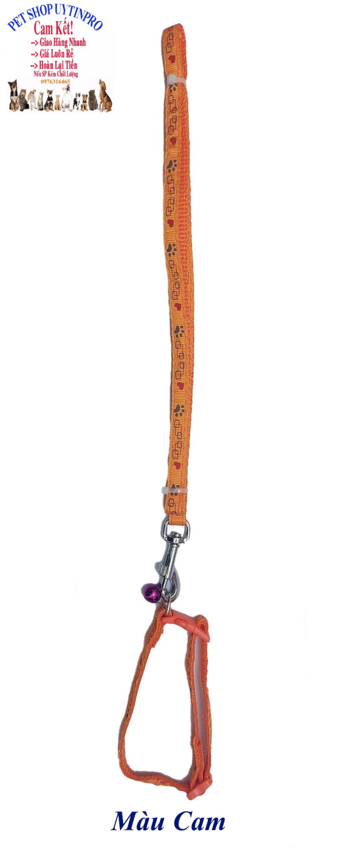 Dây dắt kèm vòng cổ có chuông cho Chó Mèo Dưới 5kg Bản rộng 1cm Dài 120cm Zichen In hình bất kỳ Chất liệu dù cao cấp