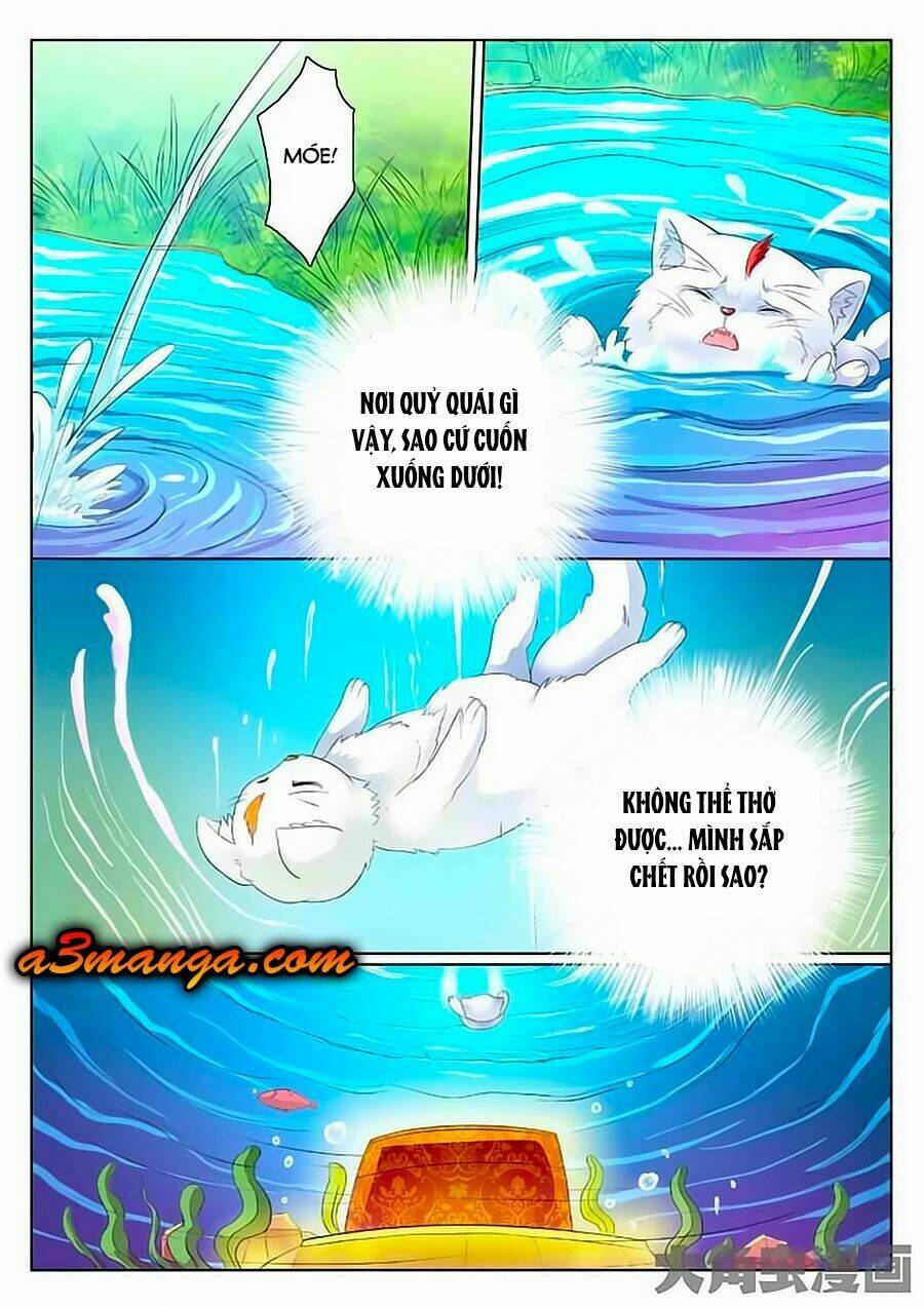 mau lấy con mèo đó ra chapter 1 11