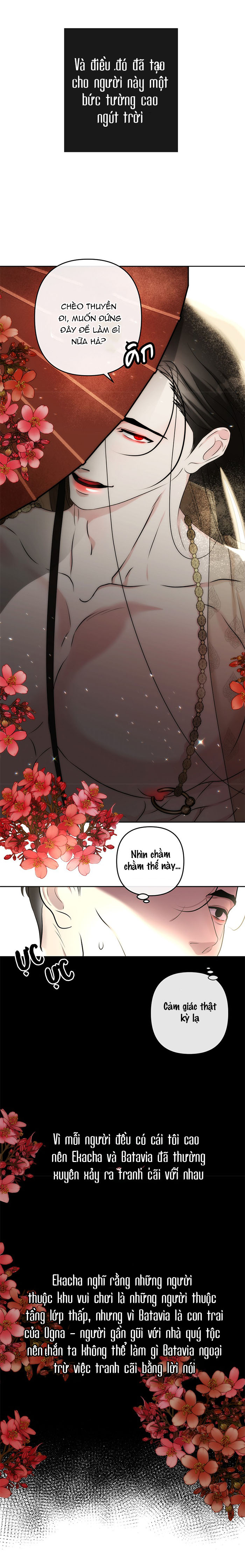 hoa kim châm batavia của ta chapter 2 6