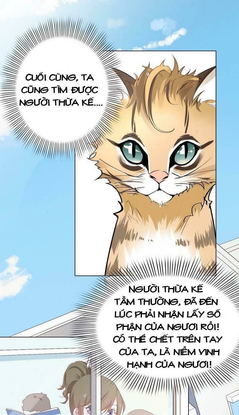 thập nhị hắc miêu chapter 1 12