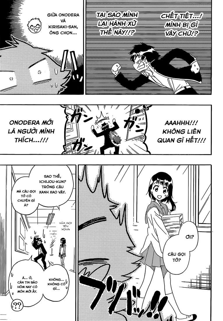 nisekoi - tình yêu giả tạo chapter 175 13