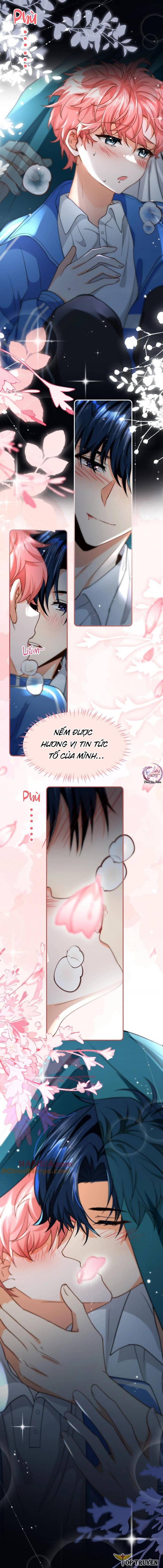 đảo thanh mai chapter 76 3