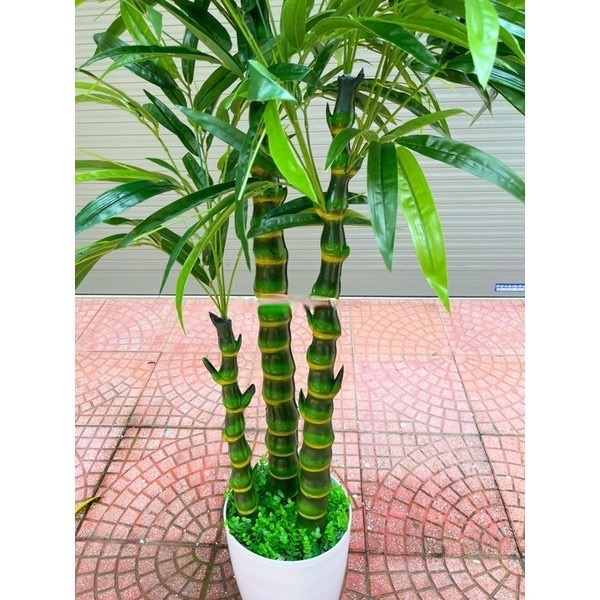 Cây trúc phật bà giả - cao 170cm - 3 nhánh - Cây giả, hoa lụa Decor trang trí nhà cửa