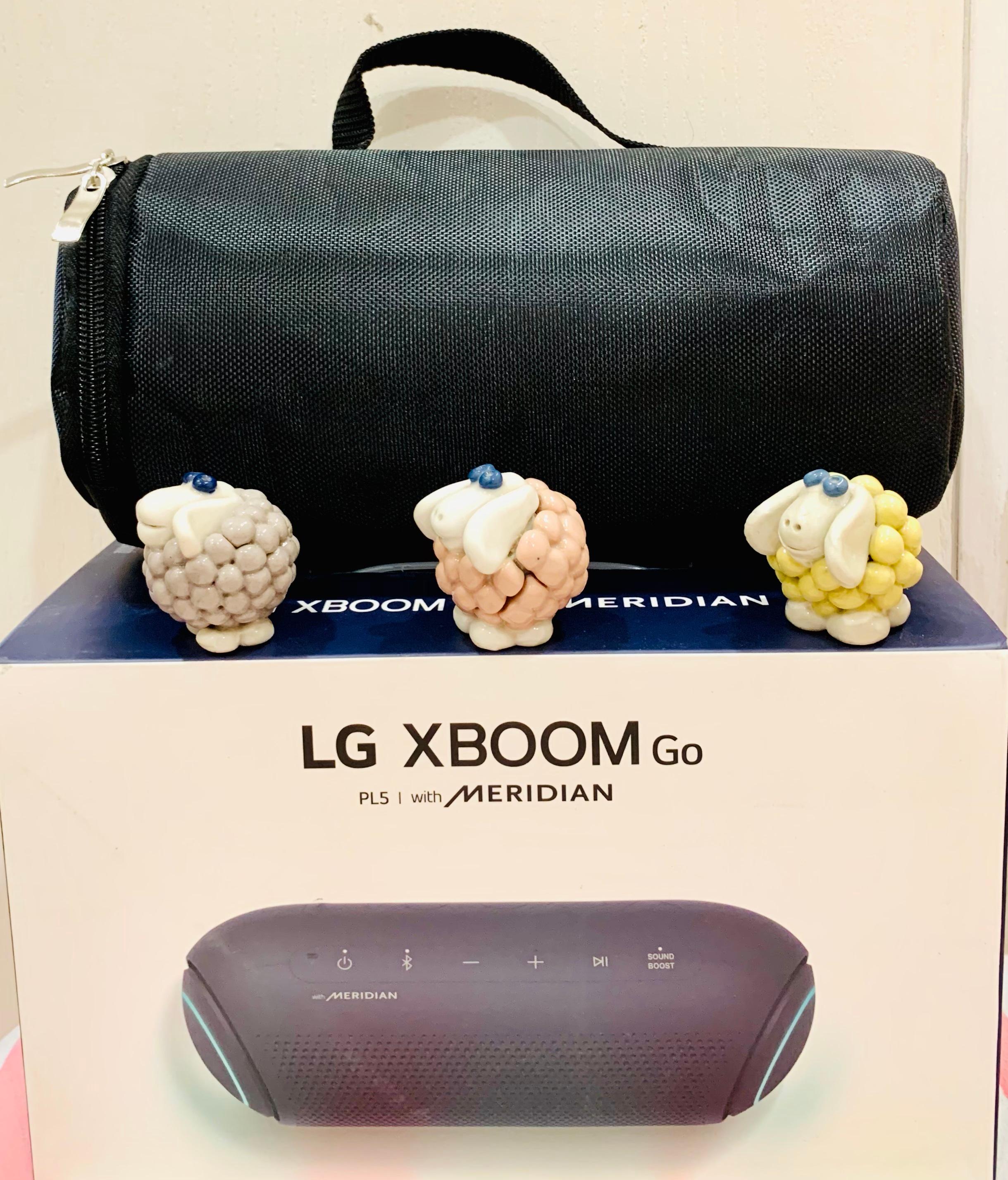 Túi đựng bảo vệ cho loa LG Xboom PL5