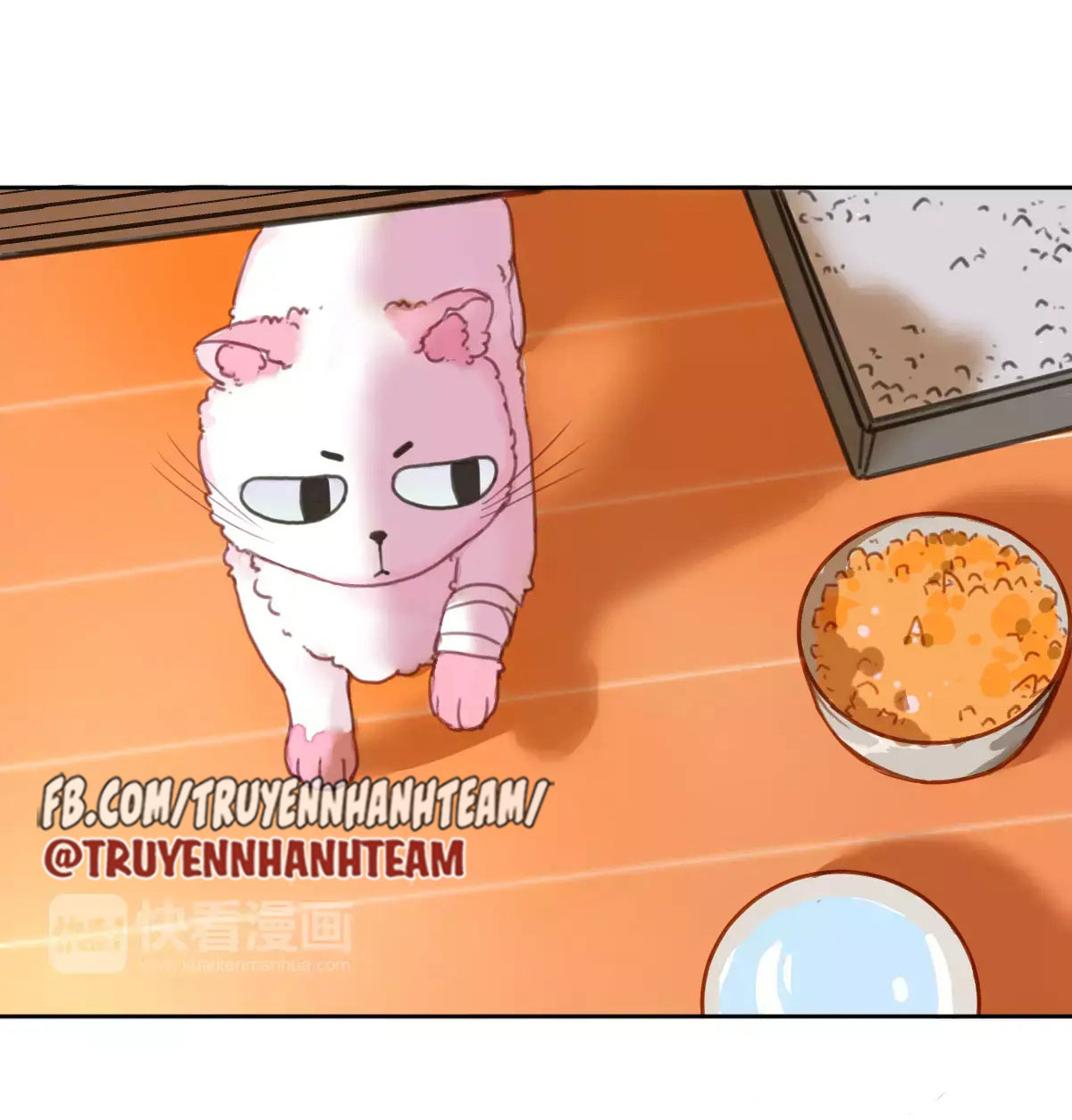 xã hội mèo chapter 2 12