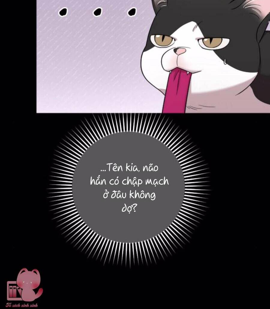 cô đi mà lấy chồng tôi đi chapter 67 75