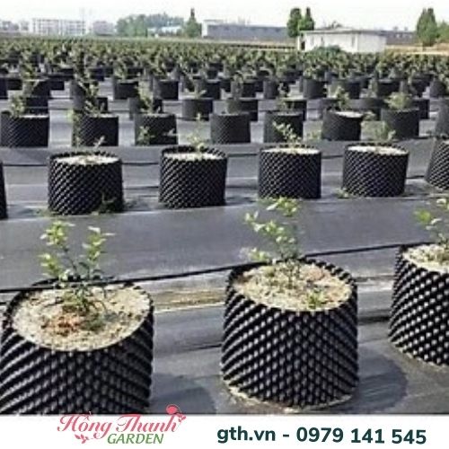 Bầu Ươm Cây Thông Minh V6 tặng kèm đinh ốc - Dùng Ươm Cây Cảnh, Rau Màu, Cây Ăn Quả Cực Kỳ Tiện Ích, Dễ Di Chuyển Cây, Thay Đổi Vị Trí Hoặc Sang Chậu Độ