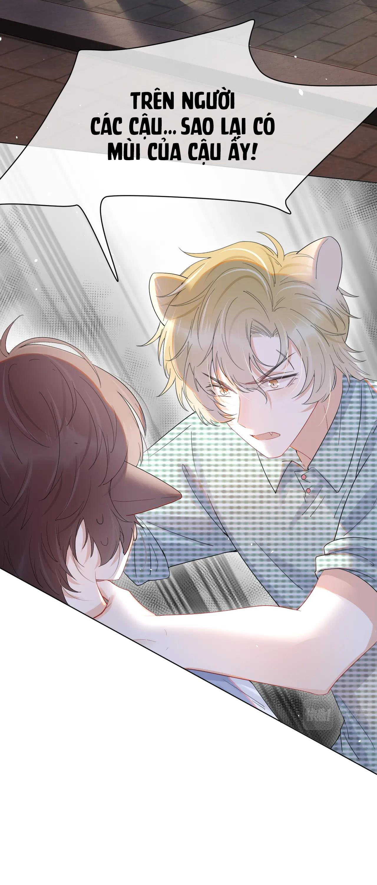 một miếng ăn sạch thỏ chapter 16 22