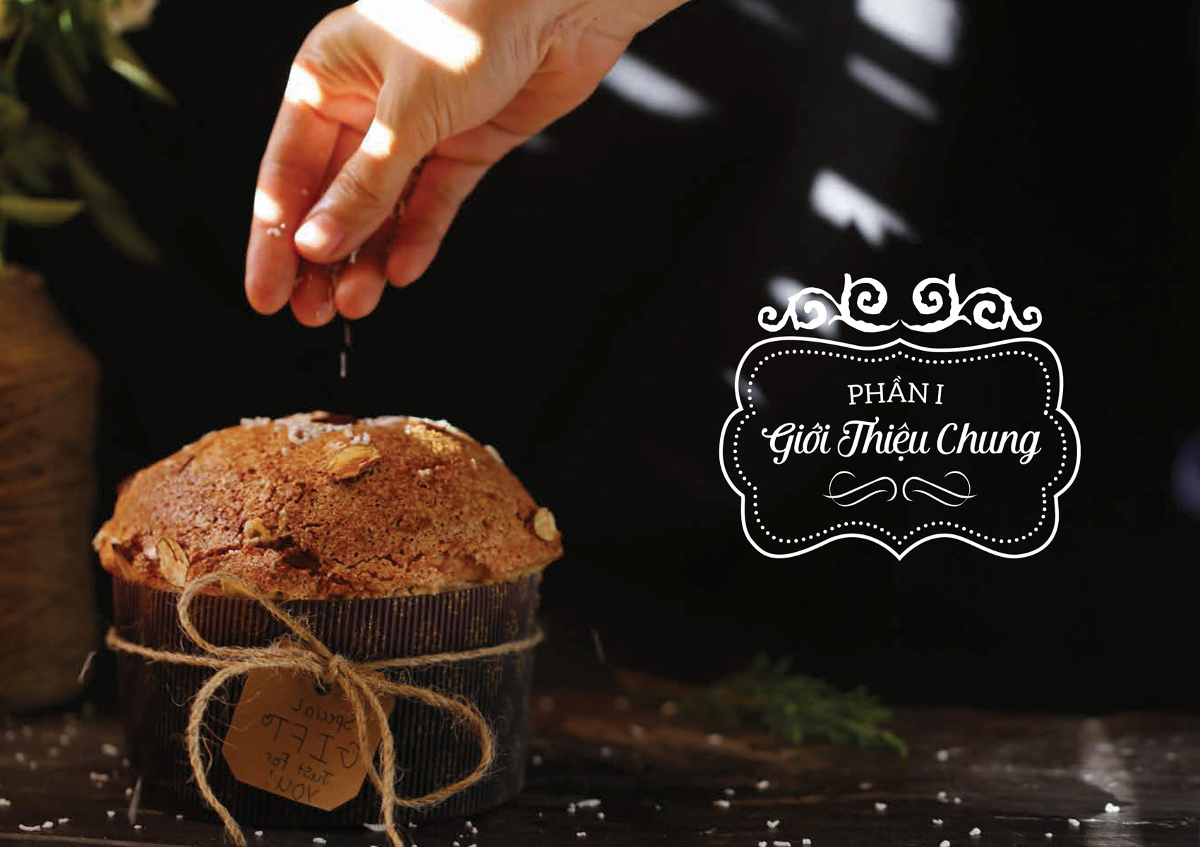 Sourdough Bread-Bánh Mì Men Tự Nhiên