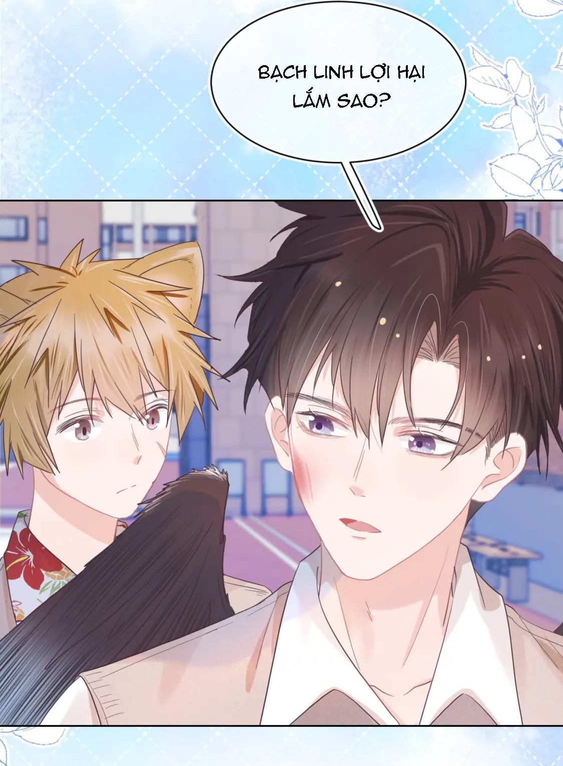 [ss2] một ngụm ăn cả thỏ con chapter 17 25