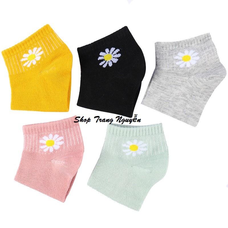 Set 3 đôi tất Hoa Cúc Hot Trend