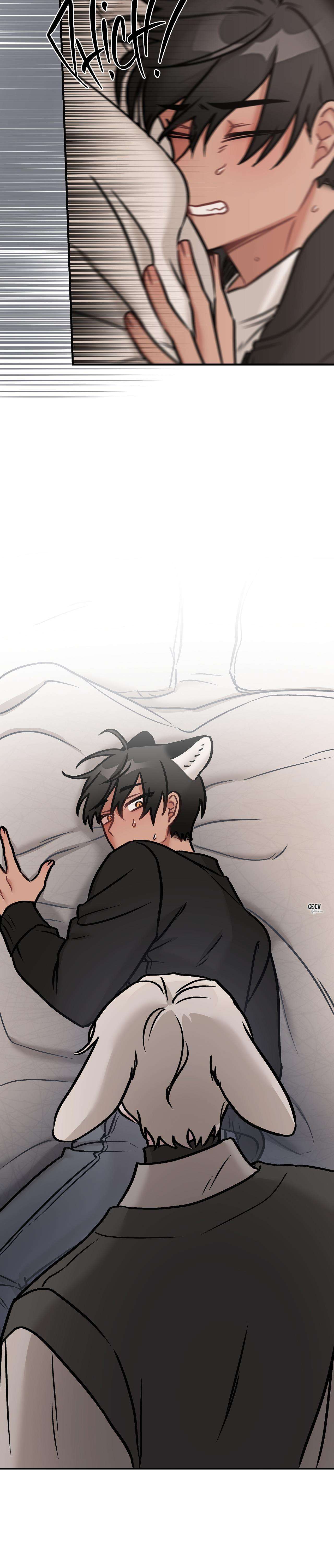 thưa ngài hổ, tôi đã ăn rất ngon miệng chapter 23 12