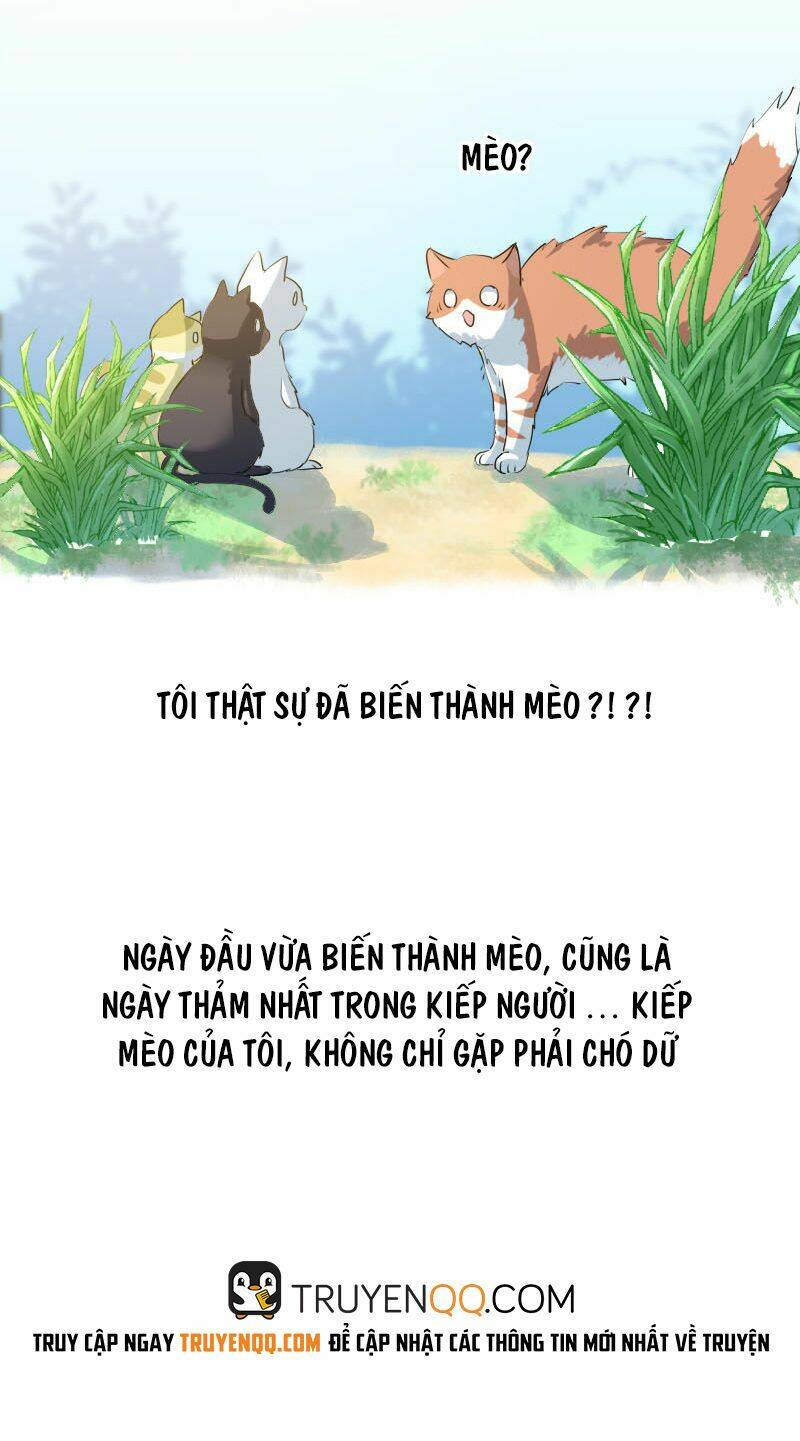 cứu mạng! bạn trai tôi là yêu quái chapter 3 13