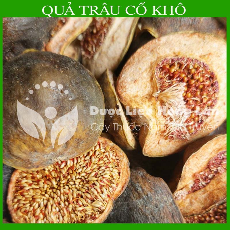 Quả Trâu Cổ khô đóng gói 500gram