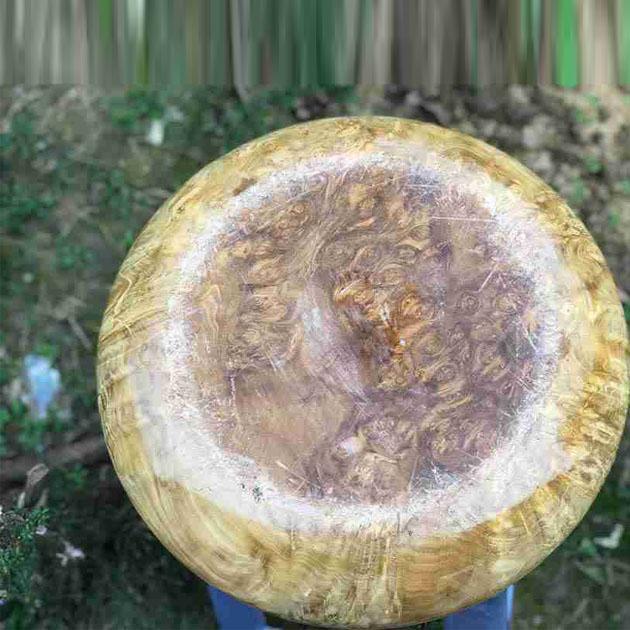 Chum Phú Quý Gỗ Nu Nghiến Đường Kính 24.5 Cao 12 Cả Núm 19