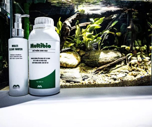 Vi Sinh Bể Cá MultiBio và Clear Water - Phiên bản mới nhất đầy đủ thể tích