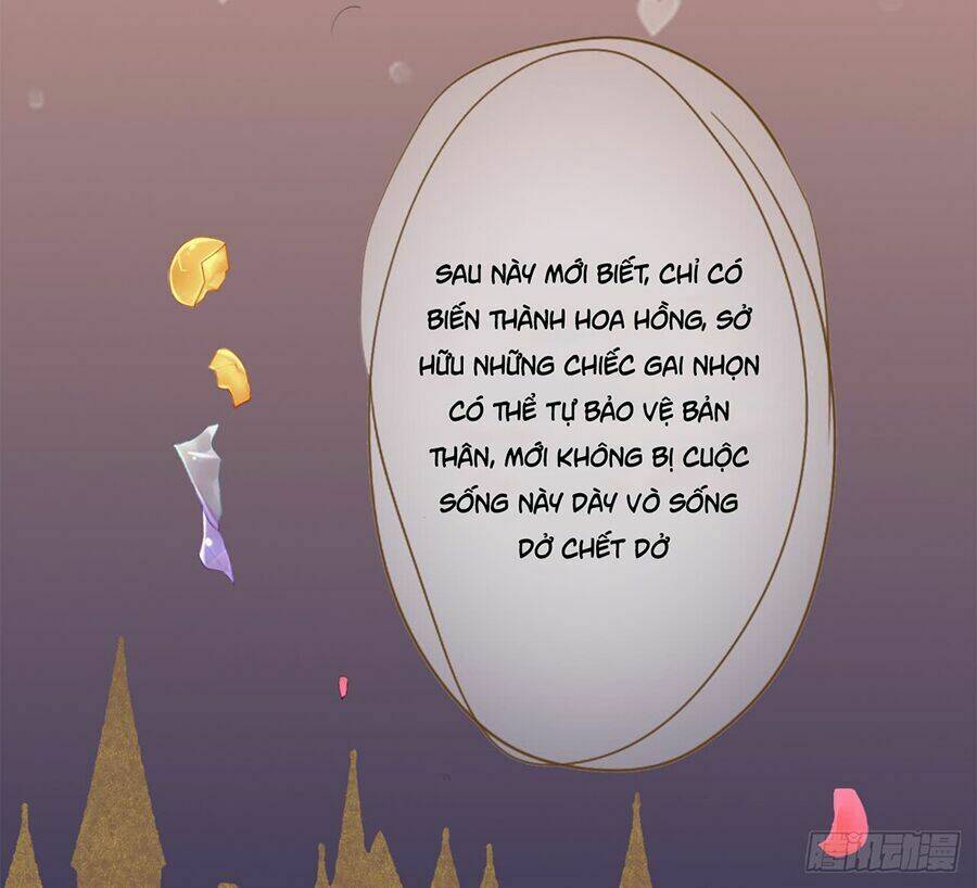 ngạo kiều tổng tài sủng điềm thê chapter 2 3