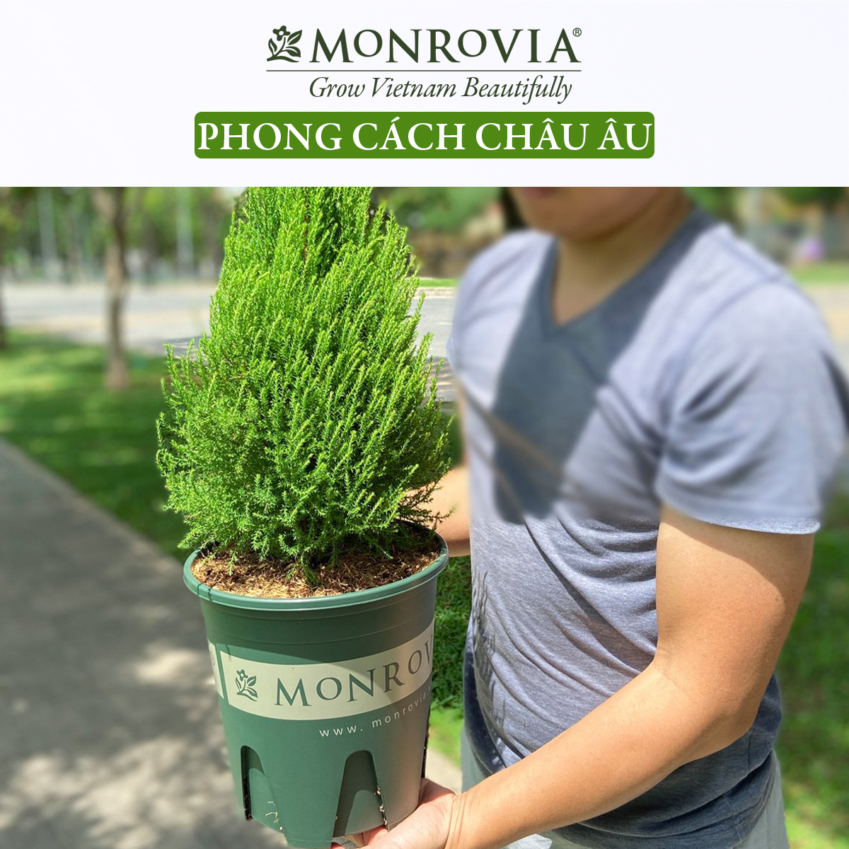 Chậu nhựa trồng cây MONROVIA 6 Gallon, Dòng M-Series, chậu trồng cây, chậu cây cảnh mini, để bàn, treo ban công, treo tường, cao cấp, chính hãng thương hiệu MONROVIA