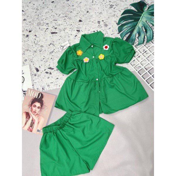 Set bộ quần áo nữ tính kết hợp với hoa cao cấp - Set quần áo dễ thương đáng yêu nhiều màu rất thích hợp với nhiều mùa