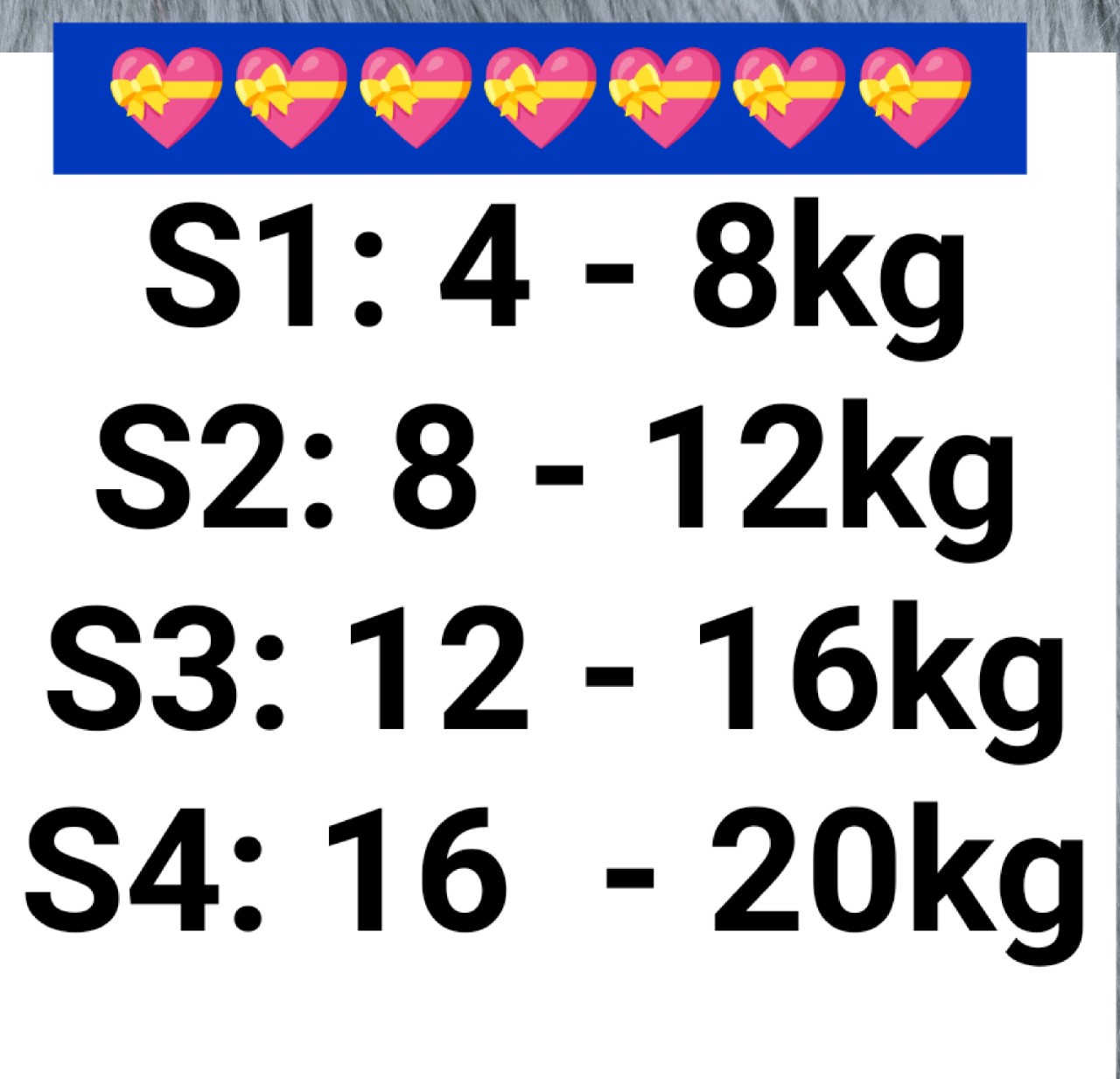 Đầm công chúa dễ thương cho bé gái Size V21