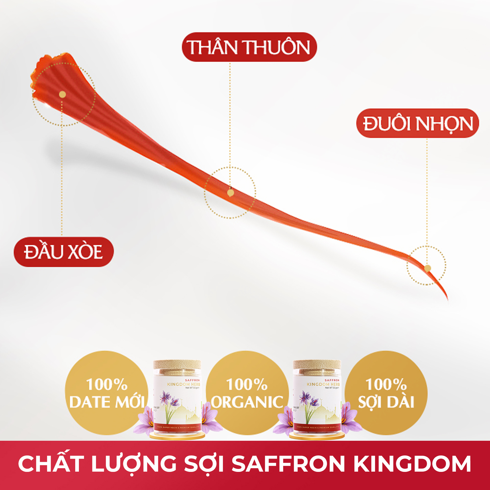 Saffron nhụy hoa nghệ tây Kingdom Herb Iran loại super negin thượng hạng hộp 0.5 gram