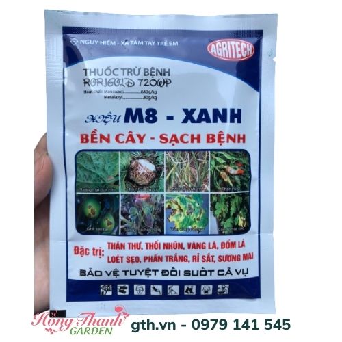 Thuốc nấm M8 - Xanh chuyên dùng đặc trị nấm cho Hoa hồng và các loại cây cảnh