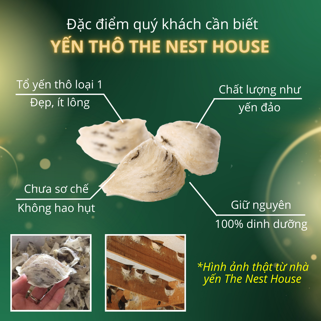 Tổ yến sào thô nguyên tổ nguyên chất 50gr 100gr tổ yến già ít lông The Nest House