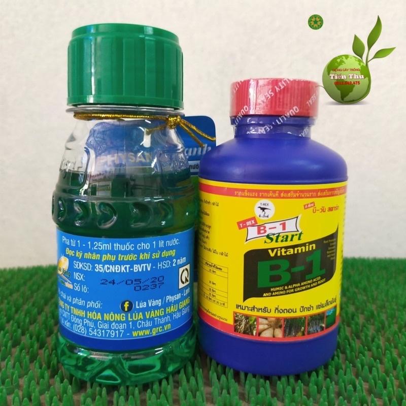 Combo B1 thái kích rễ + Physan trị nấm, thối nhũn