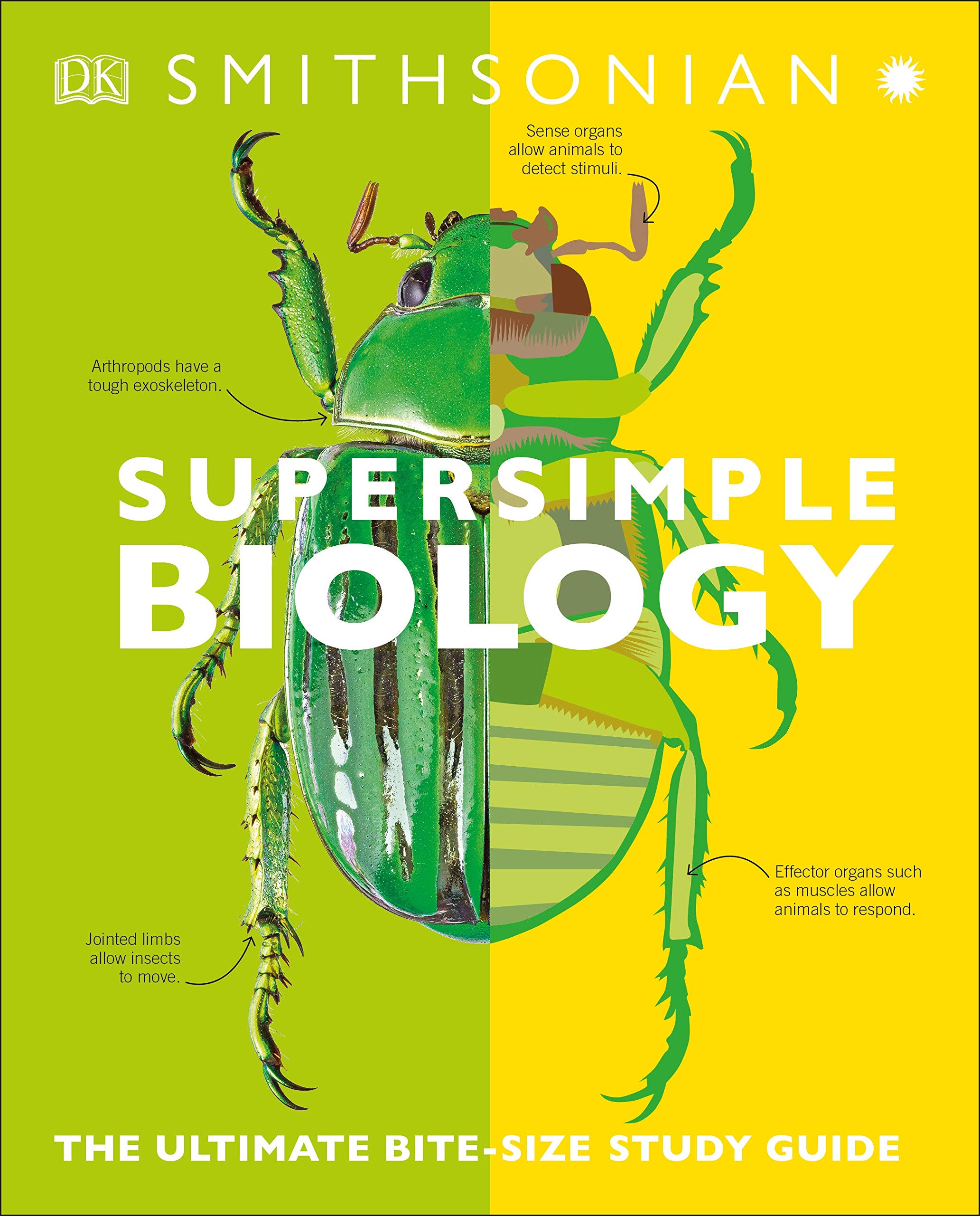 Biology: The Ultimate Bitesize Study Guide (Supersimple)