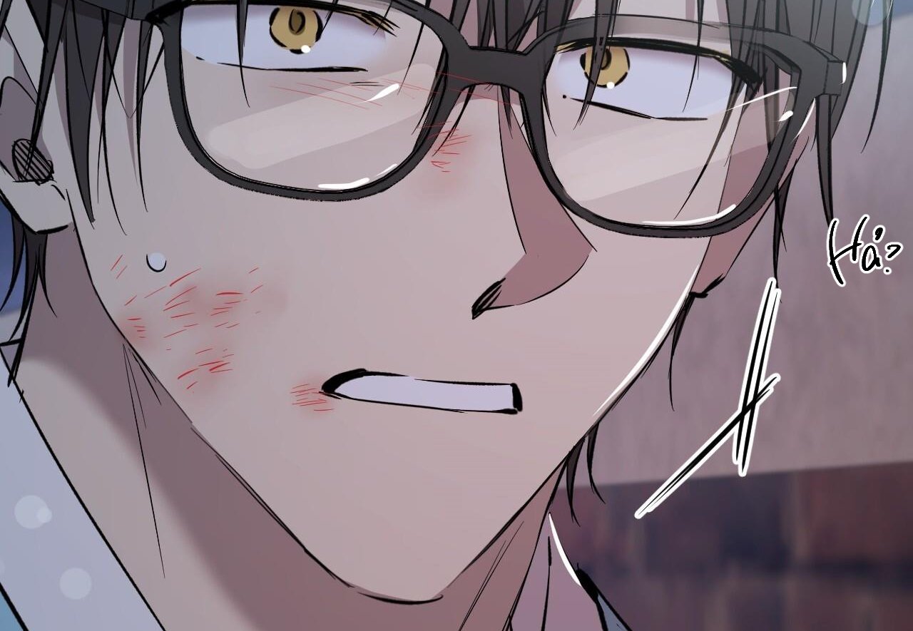 những chú thỏ của hapypy chapter 60 170